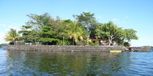 P1030610