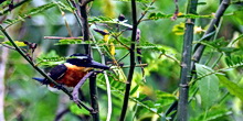 Prod_nature-1