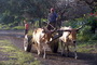 Travail rural dans les fermes d'Esteli