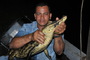 Petit crocodile sur le Rio San Juan 